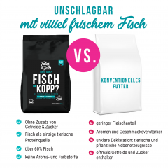 FISCH IM KOPP