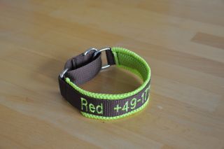 Zugstophalsband mit Namen
